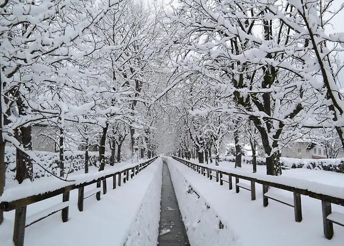 Lahnbachallee, سشواز